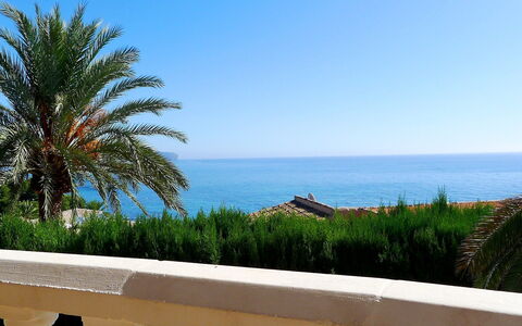 Avalon: Himmel, Ejendom, Daytime, Træ, Azure, Palme Træ, Ferie, Ocean, Hav, Kyst