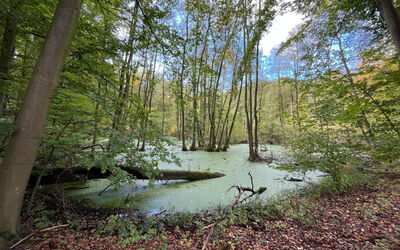 Landurlaub Mecklenburgische Seenplatte B. Waren Mü