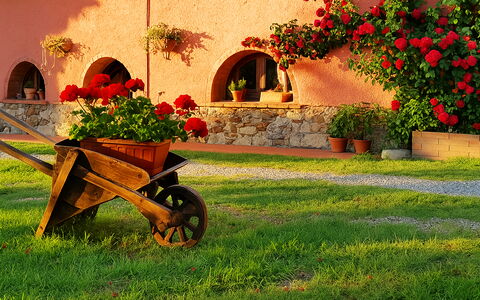 Appartamento Ibisco Seaside and Pool: Have, Landscaping, Gård, Blomsterkrukke, Backyard, Hacienda, Stueplante