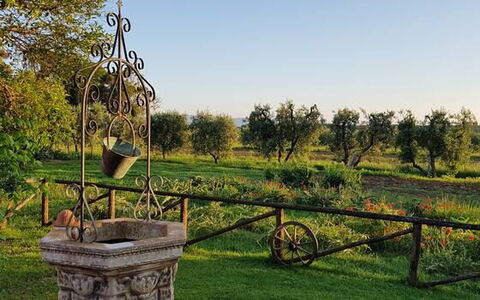Appartamento Lavanda Seaside and Pool: Almindeligt, Have, Parkere, Lawn, Gård, Landscaping, Plantation, Botanisk Have, Farm, Backyard