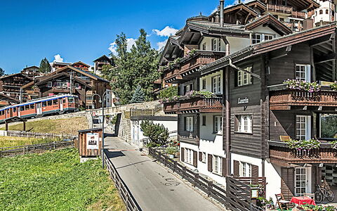 Zermatt 93: Blå, Boligområde, Forstad, Estate, Landscaping, Hæk