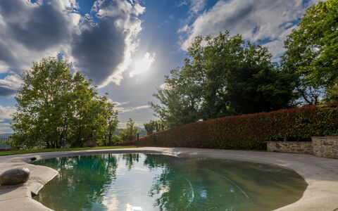 L'Oasi del Poggio: Vand, Svømmepøl, Afspejling, Water Feature, Landscaping, Dam, Reflekterende Pool