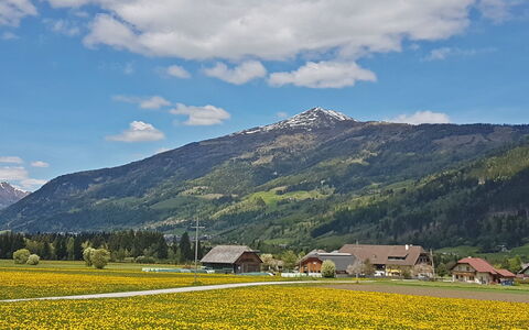 Sankt Margarethen im Lungau 11: Hvid, Nummer, Hældning, Design
