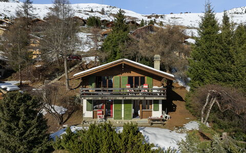 5 Ecorces: Altan
