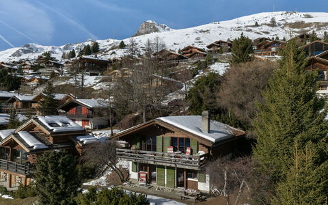 5 Ecorces: Altan
