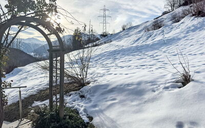 Feriebolig:&nbsp;Chalet Waldrand 642.2