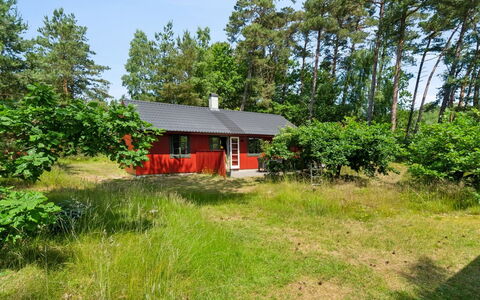 Wale - 100M from the Sea: Træ, Møbel, Lejlighed, Værelse, Loft, Bejdse, Stol, Hårdttræ, Klarlak, Tømmer