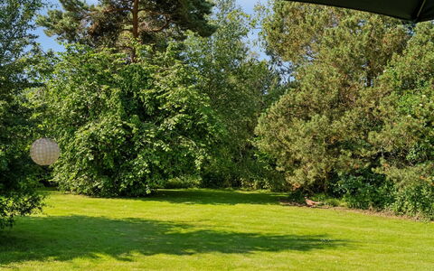 Roald - 320M from the Sea: Bjerg, Sne, Bjergrige Landskabsformer, Vinter, Bjergkæde, Glacial Landskabsform, Highland, Bakke, Hill Station, Terræn