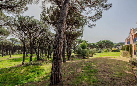 Les Pins Bleus App.02: Vegetationen, Busk, Vedplante, Have, Lawn, Landscaping, Plantation