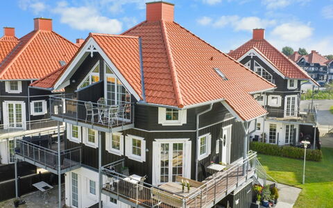 Alitta - 240M from the Sea