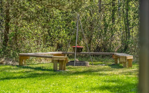 Landrich - from the Sea: Træ, Udendørs Bench, Bagagerum, Bænk, Udendørs Møbler, Have, Parkere, Udendørs Bord, Woodland, Lawn