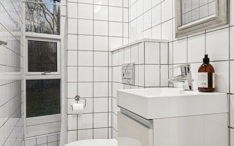 Ordan - 140M to the Fjord: Væg, Badeværelse, Sanitærarmatur, Gulvbelægning, Indretning, Etage, Toilet, Vvs, Flise, Toiletbræt