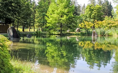 Terme di Comano 301: Vand, Krop Af Vand, Træ, Vandressourcer, Grøn, Natur, Naturligt Miljø, Naturlige Landskab, Vandløb, Afspejling