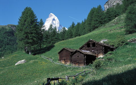 Zermatt 310: Estate, Landscaping, Villa, Hæk, Altan