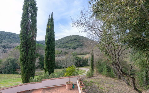 La Valle: Blad, Busk, Have, Landscaping, Evergreen, Pine Family, Lærk
