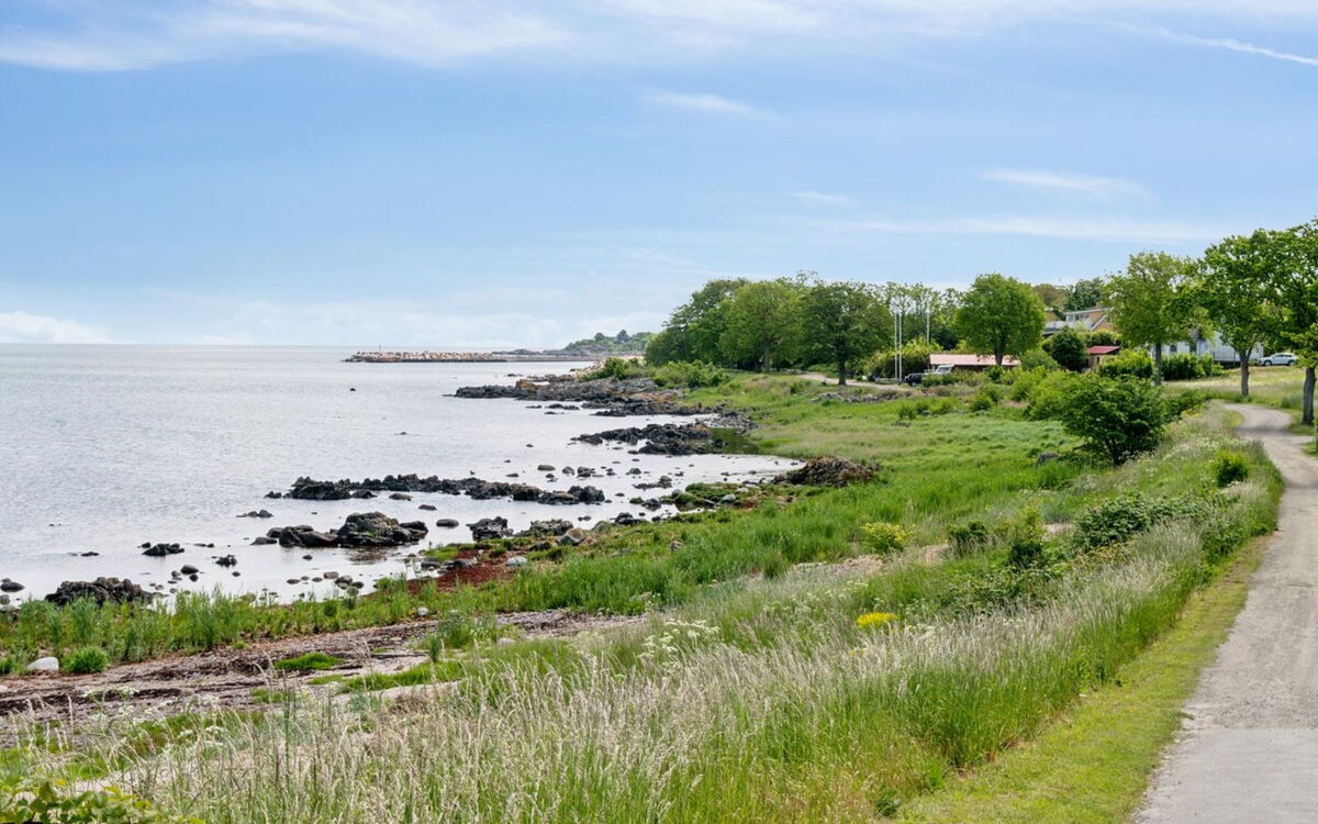 Yosefin - 50M from the Sea