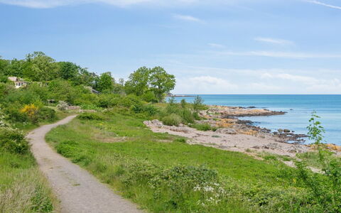 Yosefin - 50M from the Sea: Kyst, Sommer, Coastal Og Oceaniske Landskabsformer, Økoregion, Plantesamfund, Hav, Kyst, Ocean, Sti, Shrubland