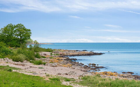 Yosefin - 50M from the Sea: Græs, Græs-, Land Lot, Sommerhus, Landdistrikt, Eng, Garden Bygninger, Have, Skur