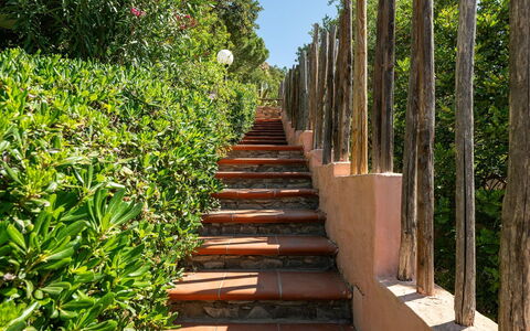 Pellicano: Busk, Have, Forår, Skygge, Landscaping, Walkway, Botanisk Have, Blomsterkrukke, Hegn, Home Fencing