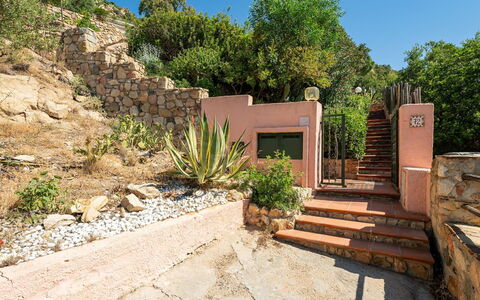 Pellicano: Busk, Rots, Plantesamfund, Have, Landscaping, Blomsterkrukke, Flise, Trappe, Stenmur