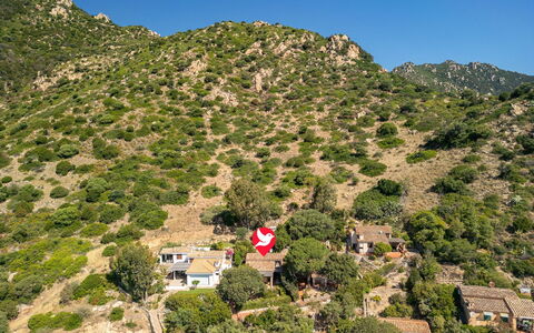 Pellicano: Bjergrige Landskabsformer, Vegetationen, Landskab, Bjerg, Landdistrikt, Highland, Bakke, Plantesamfund, Chaparral, Hill Station