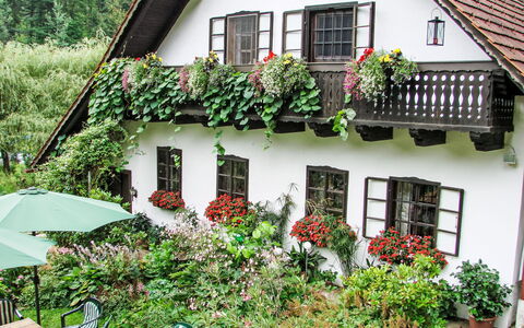 Himmelreichmühle: Hus, Busk, Sommerhus, Dør, Altan, Blomsterkrukke, Stueplante, Have, Stuehus