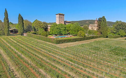 Medieval Castle Living: Vineyards, Swimming Pool &: Plantation, Landbrug, Have, Vineyard, Hæk, Farm