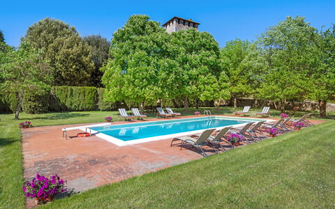 Medieval Castle Living: Vineyards, Swimming Pool &: Træ, Busk, Have, Lawn, Estate, Plantation, Svømmepøl, Parkere, Landscaping, Hacienda