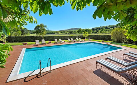 Medieval Castle Living: Vineyards, Swimming Pool &: Svømmepøl, Udvej, Eco Hotel, Have, Hacienda, Skygge, Villa, Stuehus, Water Feature, Landscaping