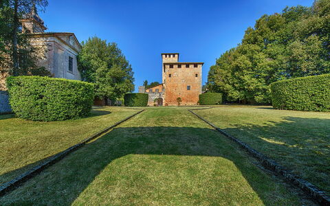 Medieval Castle Living: Vineyards, Swimming Pool &: Busk, Have, Estate, Lawn, Hæk, Landscaping, Slot, Parkere, Evergreen, Mansion