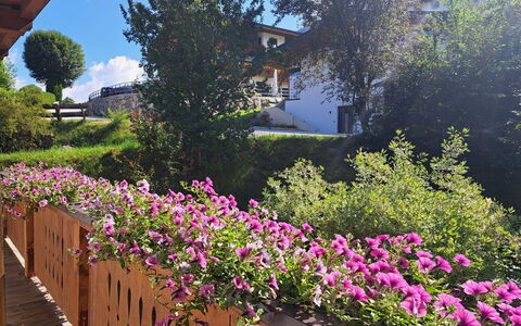 Weißbacher: Blomst, Busk, Lyserød, Have, Purple, Forår, Blomstrende Plante, Bunddække, Kronblad