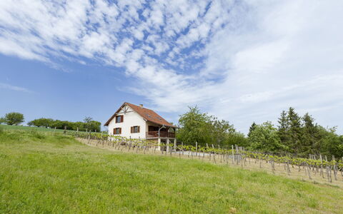 Pax: Græs, Hus, Landdistrikt, Sommerhus, Tag, Hjem, Landskab, Almindeligt, Land Lot