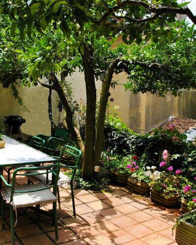 Giardino dei Limoni