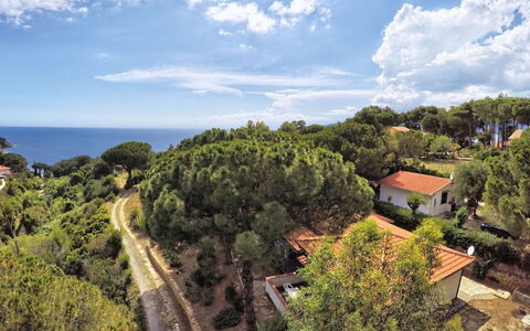 Capoliveri 860: Træ, Vegetationen, Landskab, Plantesamfund, Land Lot, Kyst, Estate, Ocean, Tropics