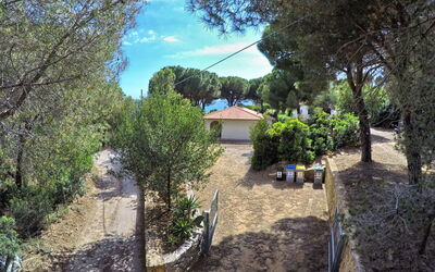 Capoliveri 860: Træ, Blad, Busk, Have, Landscaping, Skygge, Estate, Indkørsel, Backyard