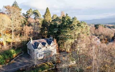 Netherwood: Træ, Afdeling, Blad, Natur, Vegetationen, Hus, Busk, Landskab, Hjem, Landdistrikt