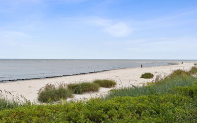 Gottfrida - 50M from the Sea