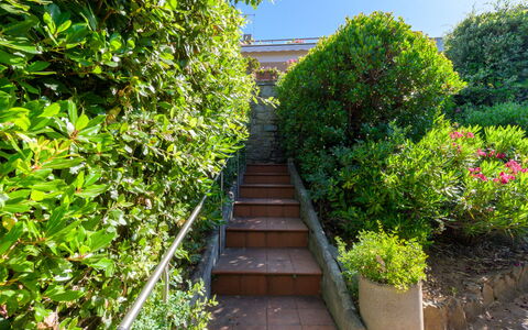 Montparnasse: Grøn, Blad, Busk, Plantesamfund, Have, Vedplante, Hæk, Walkway, Skygge, Landscaping