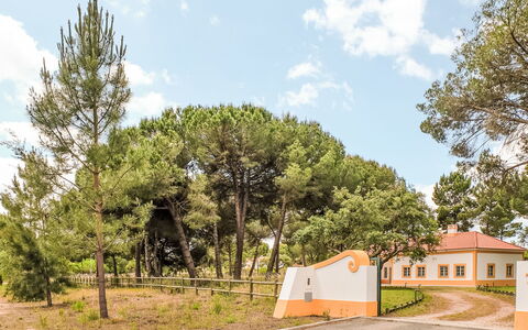 Villa Dos Sobreiros: Træ, Blad, Afdeling, Landskab, Land Lot, Almindeligt, Jord, Skygge, Landscaping
