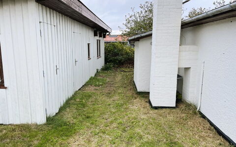 Ginger - 50M from the Sea: Land Lot, Bunddække, Backyard, Lawn, Gård, Have, Sidespor, Garden Bygninger, Dagslys, Skur