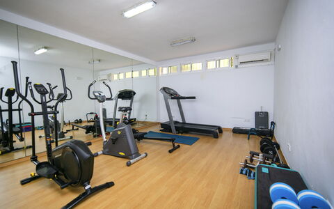 Altea Natura: Gulvbelægning, Etage, Værelse, Loft, Indretning, Belysning, Træningsudstyr, Øvelse Maskine, Møbel, Gym