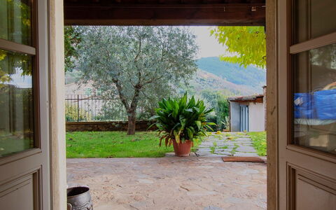 Vicarisa: Bjergrige Landskabsformer, Vegetationen, Bjerg, Bakke, Busk, Hill Station, Landsby, Hacienda, Eco Hotel