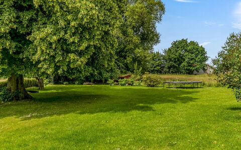 Edla - 5Km from the Sea: Blå, Grøn, Daytime, Træ, Græs, Blad, Naturligt Miljø, Natur, Afdeling, Græs-