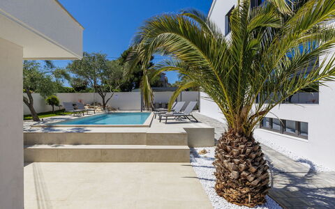 Ventus: Vedplante, Skygge, Svømmepøl, Landscaping, Udvej, Eco Hotel, Tropics, Walkway, Villa