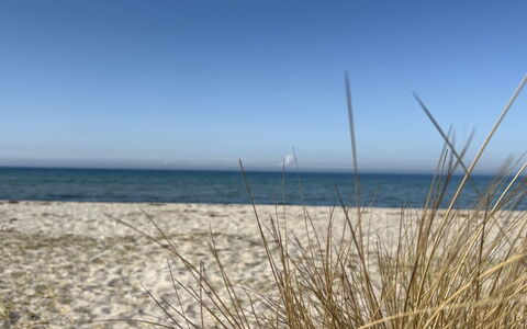Holmfridur - 1.1Km from the Sea: Blå, Horisont, Strand, Kyst, Hav, Økoregion, Coastal Og Oceaniske Landskabsformer, Kyst, Sand