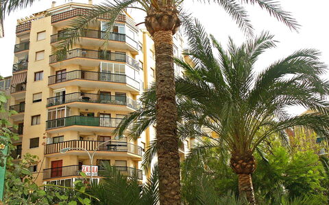 Calpe Calp 390: Plante, Bygning, Ejendom, Vindue, Himmel, Træ, Terrestrisk Plant, Arecales, Vegetationen, Hus