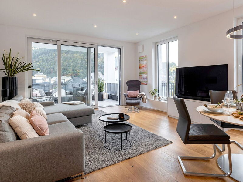 Moselroyal Neu Luxus 2-4 P. Moselblick Klima