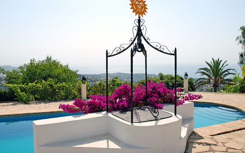 Baile del Sol: Blomsterkrukke, Ferie, Blomst, Botanik, Plante, Fritid, Træ, Turisme, Stueplante, Have