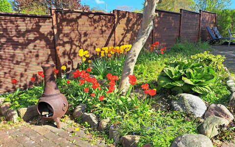 Noreen - 500M from the Sea: Blomst, Have, Busk, Bunddække, Backyard, Forår, Landscaping, Gård, Urteagtig Plante