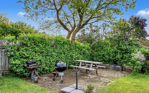 Filisha - 200M from the Sea: Busk, Have, Lawn, Skygge, Udendørs Bench, Parkere, Landscaping, Gård, Udendørs Møbler, Backyard